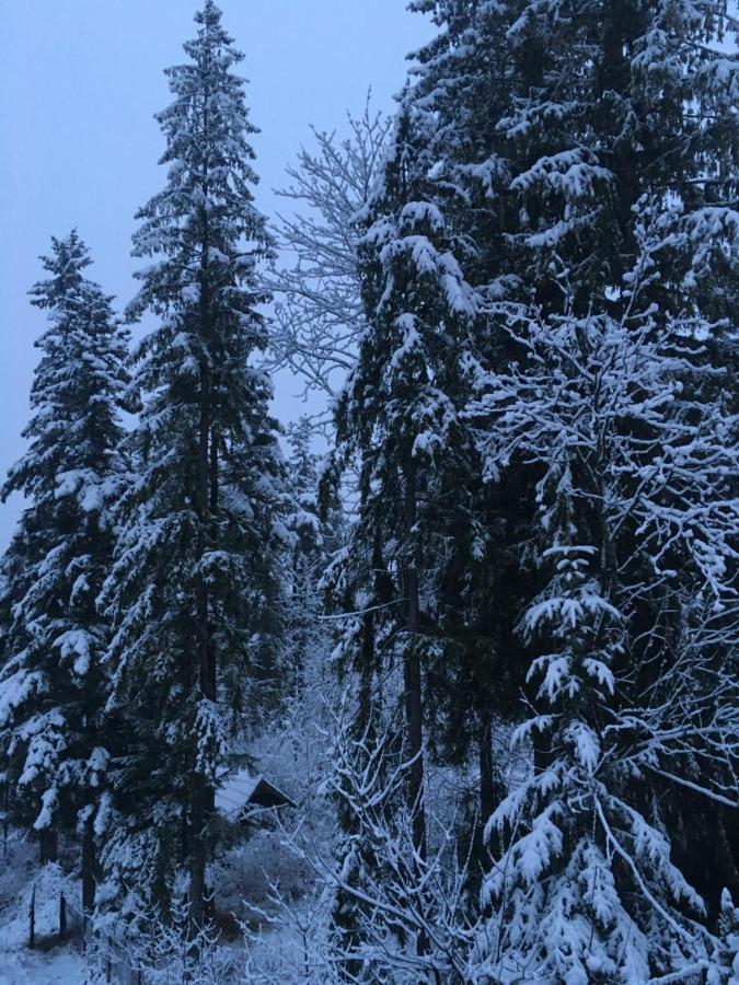 Belle Epoque Zakopane