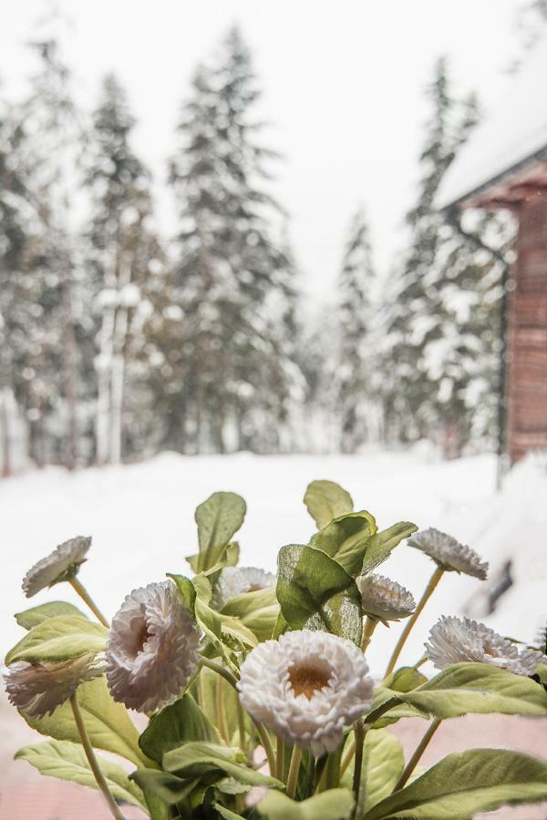 Belle Epoque Bed & Breakfast Zakopane